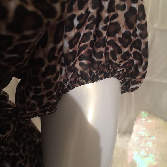 New! Sheer double layered Cheetah print Dress! 💕 - Picture 3 of 7